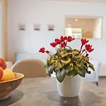 Mettmapark - 2 * Grafenhausen